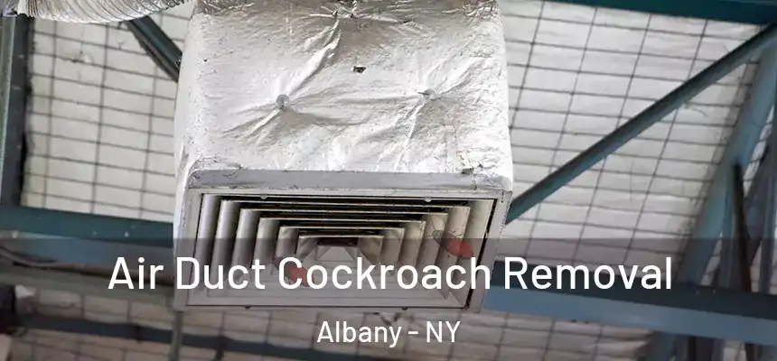  Air Duct Cockroach Removal Albany - NY