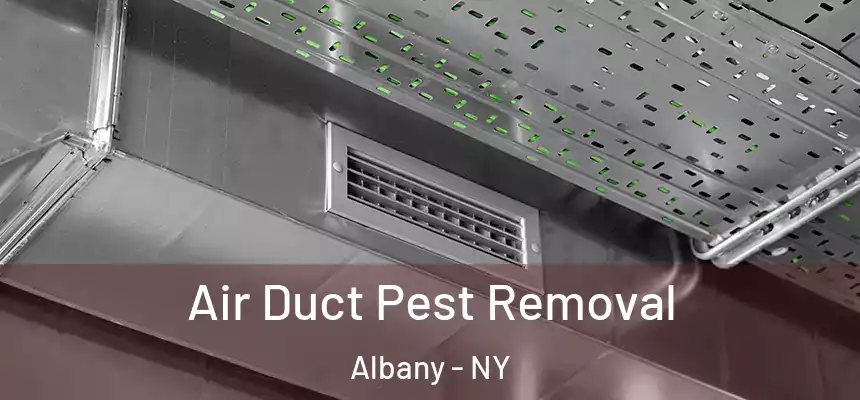 Air Duct Pest Removal Albany - NY