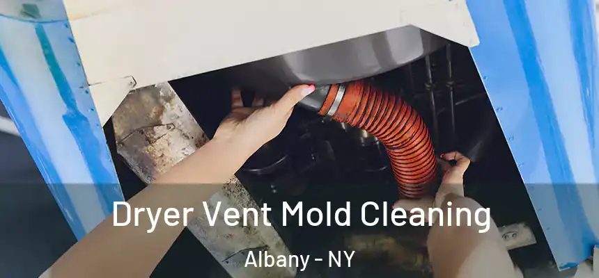 Dryer Vent Mold Cleaning Albany - NY