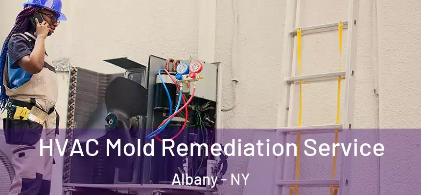 HVAC Mold Remediation Service Albany - NY
