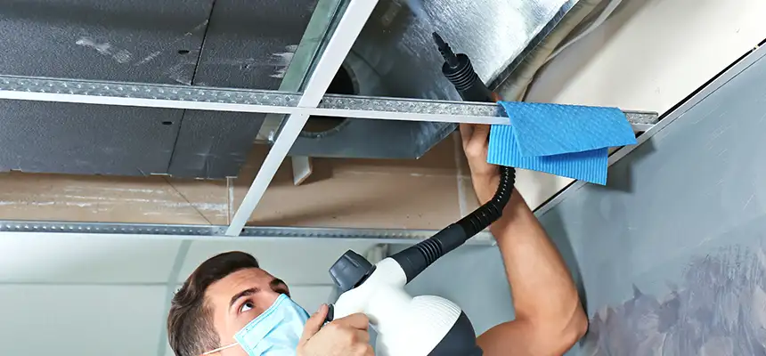 Our Air Duct Rodent Removal Services in Albany, NY