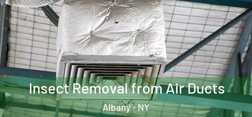  Insect Removal from Air Ducts Albany - NY