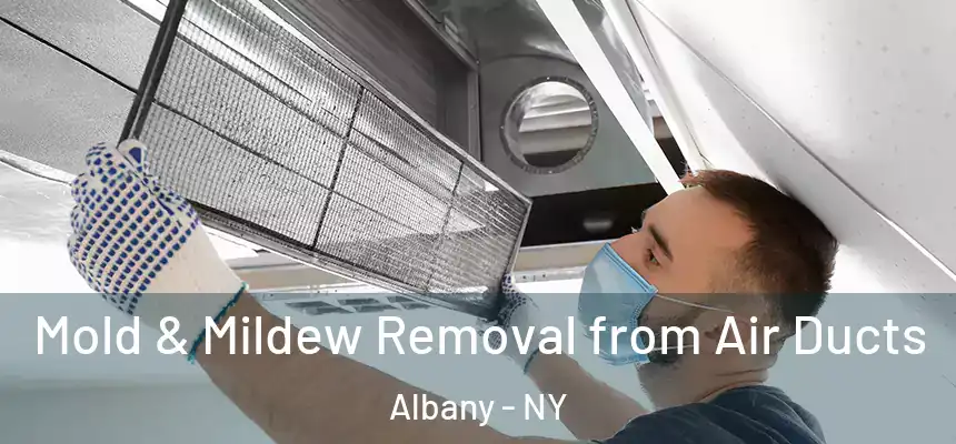 Mold & Mildew Removal from Air Ducts Albany - NY
