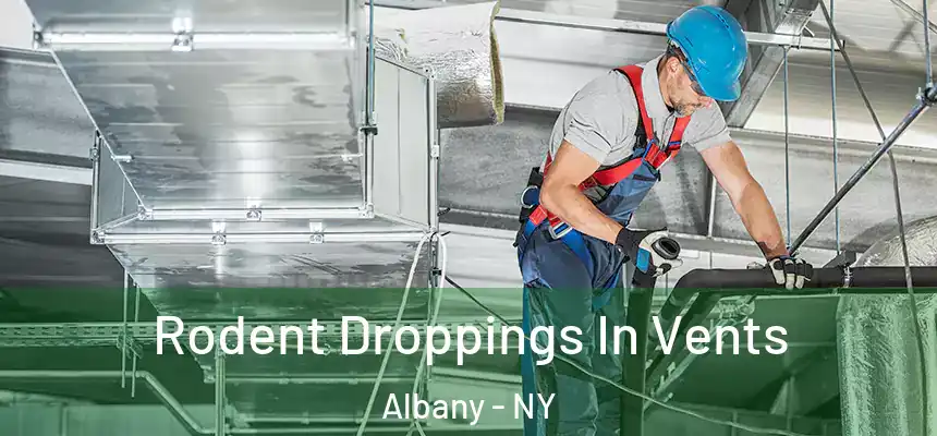  Rodent Droppings In Vents Albany - NY