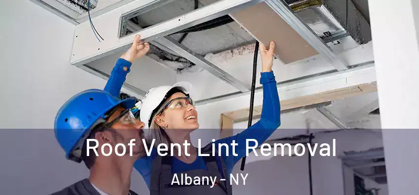 Roof Vent Lint Removal Albany - NY