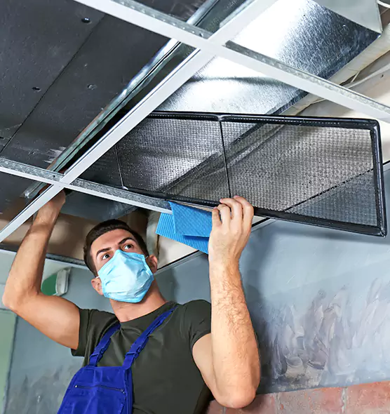 About Air Duct Bacteria Removal in Albany
