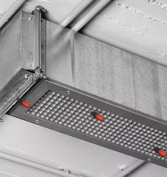 Affordable Insect Removal from Air Ducts in Albany, NY