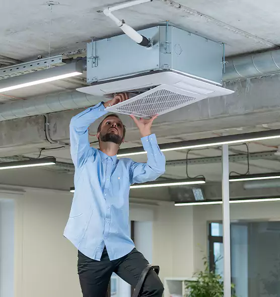 Advanced Rodent Droppings In Vents in Albany, NY