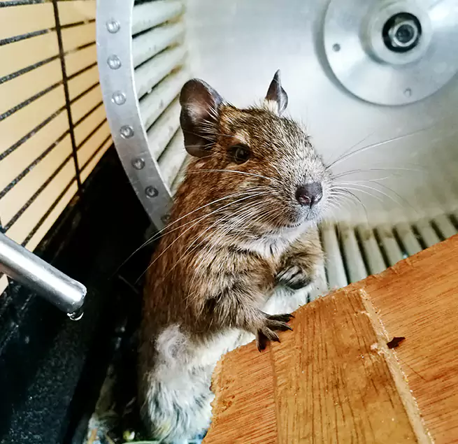 Why Homeowners & Businesses Trust Us Albany, NY?