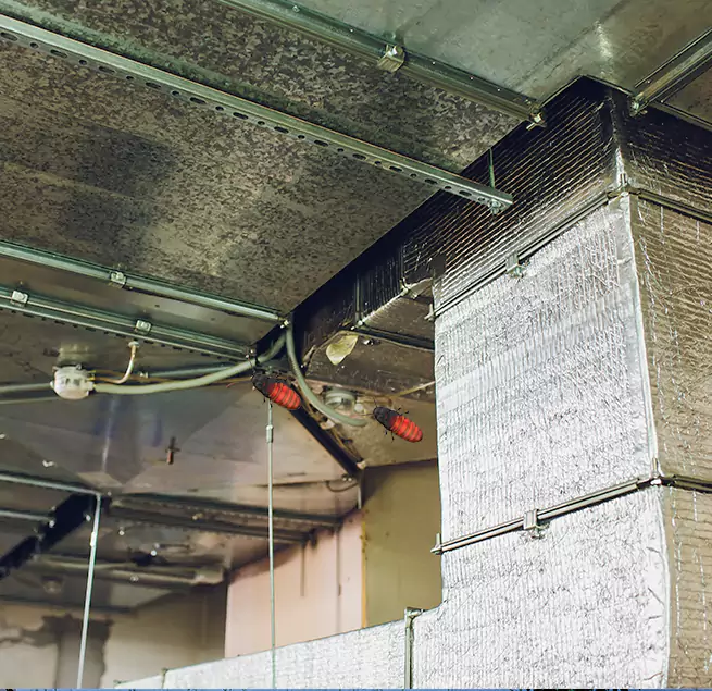 Why Homeowners & Businesses Trust Us Albany, NY?