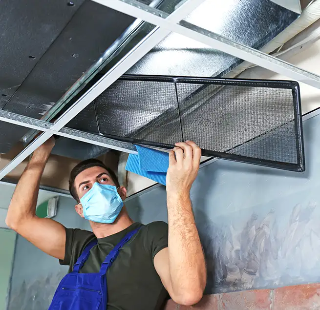 Why Homeowners & Businesses Trust Us in Albany, NY?